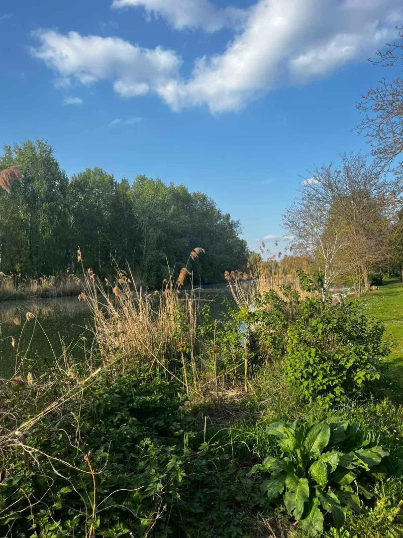 Eladó önálló nyaraló nyaraló / üdülő Dömsöd Árnyas sétány - Kép 11