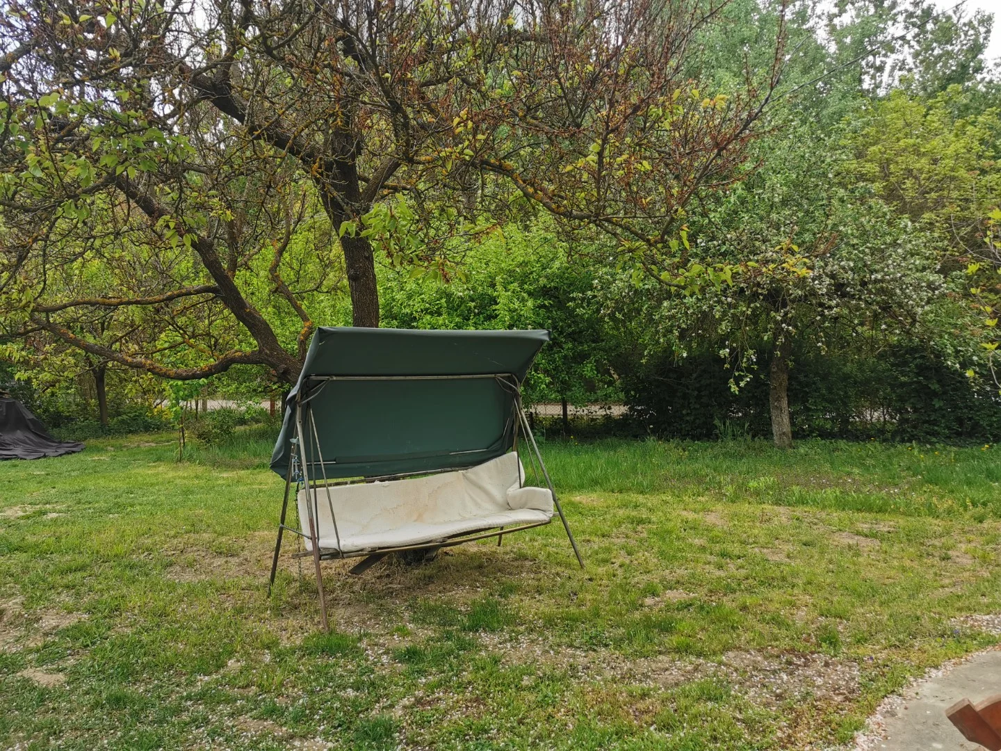 Eladó mezőgazdasági telek Kalocsa Meszesi Dunapart - Kép 4