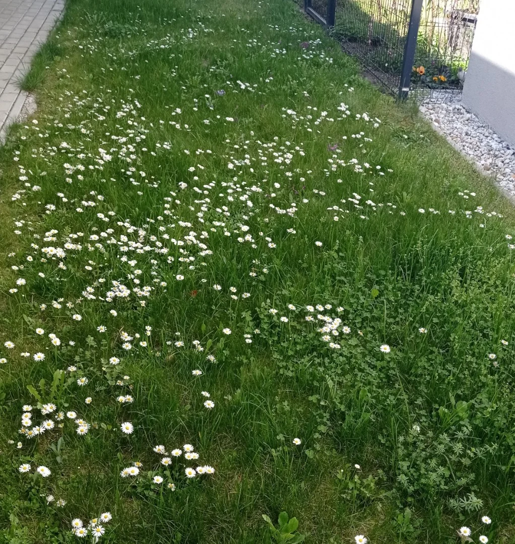 Eladó tégla lakás Győr - Kép 19