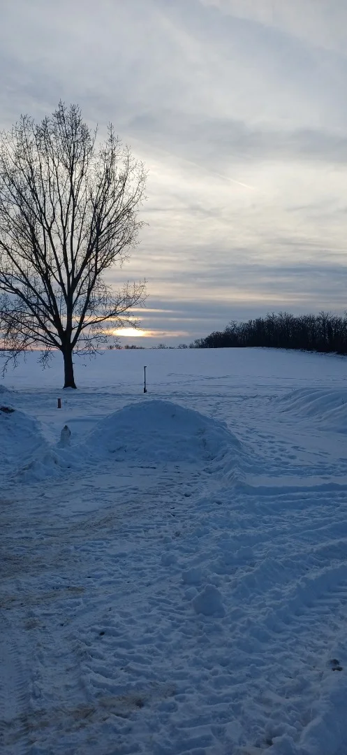 Eladó családi ház Alsóregmec Szabadság - Kép 3