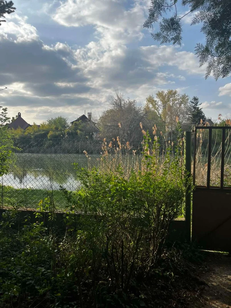 Eladó önálló nyaraló nyaraló / üdülő Dömsöd Árnyas sétány - Kép 12