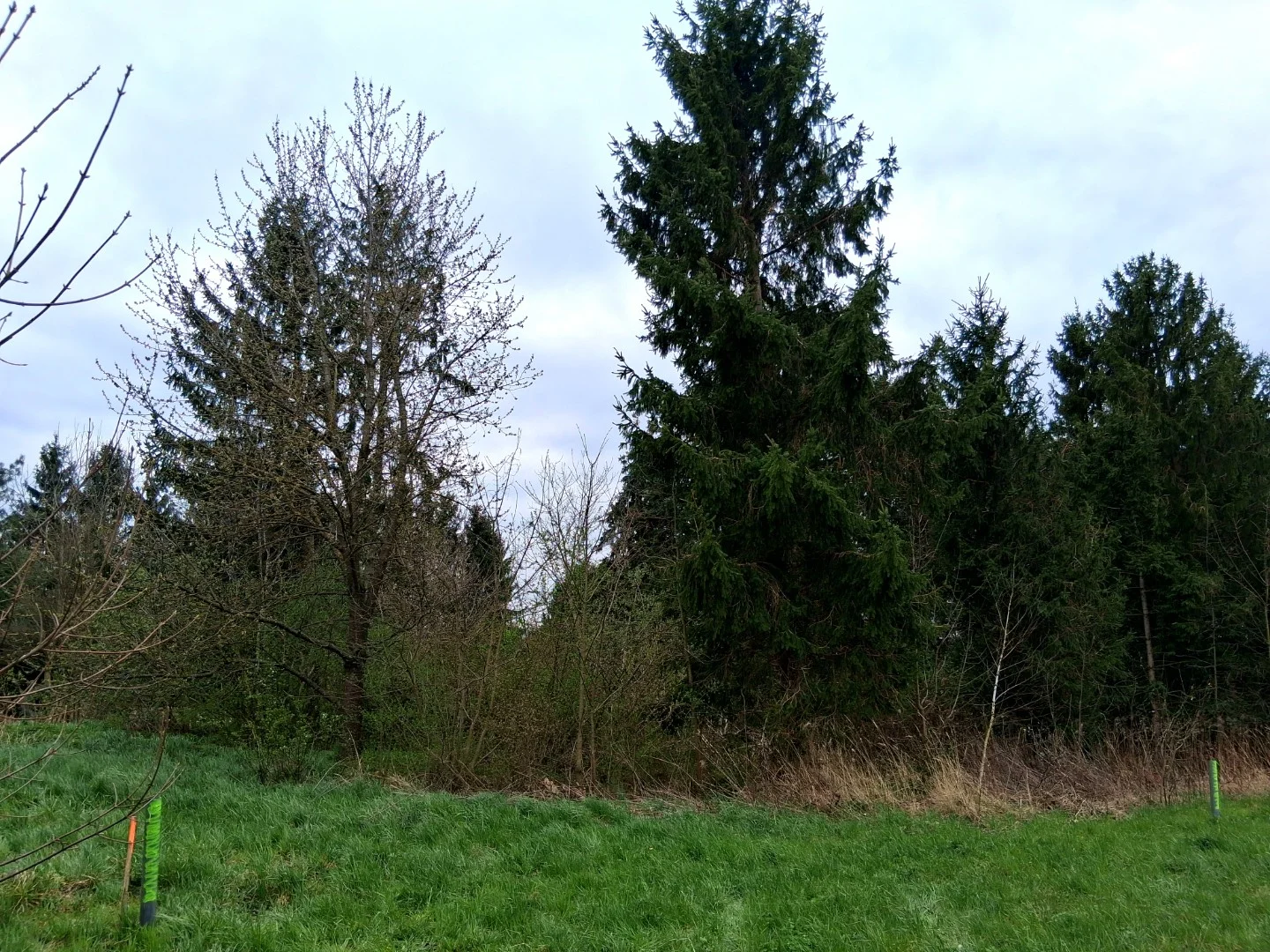 Eladó építési telek Nagykanizsa Alsó Szabadhegyi út - Kép 4