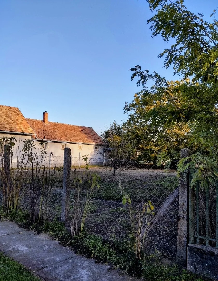 Eladó építési telek Csikéria - Kép 2