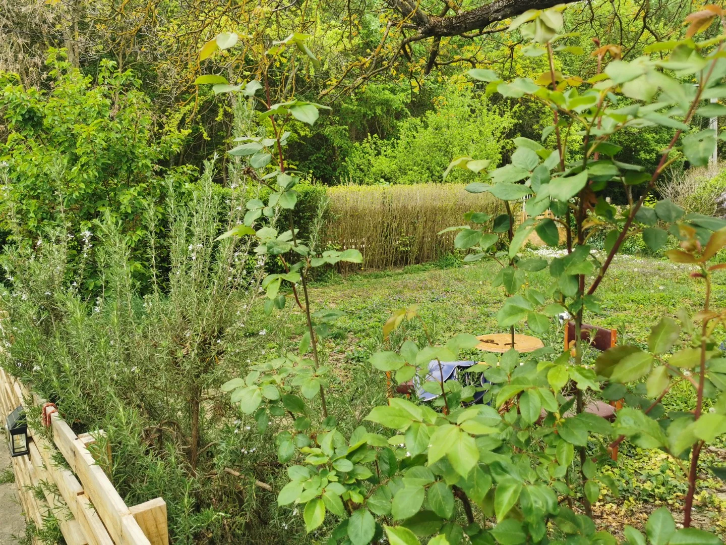 Eladó önálló nyaraló nyaraló / üdülő Kalocsa Meszesi Dunapart - Kép 3