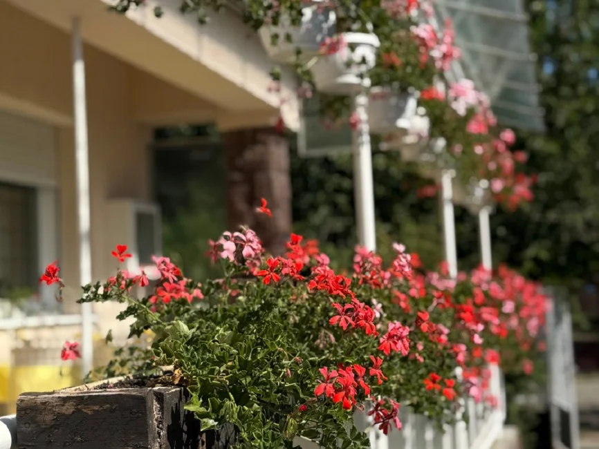 Eladó családi ház Kunszentmiklós Dózsa György utca - Kép 12