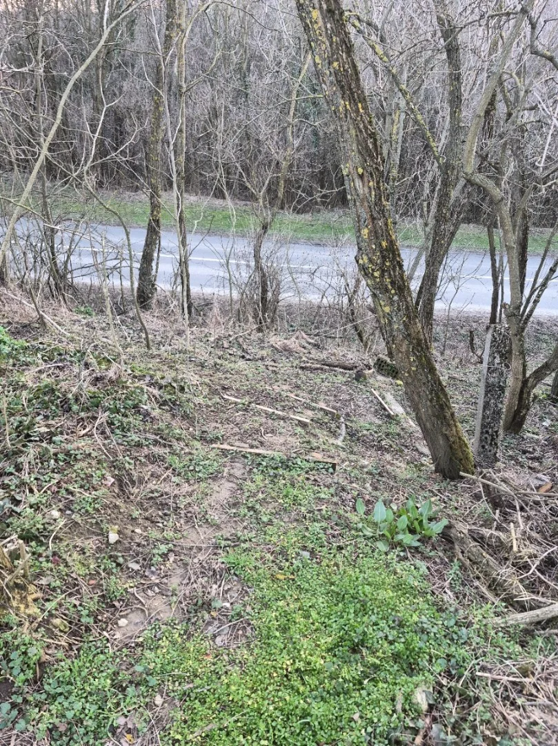 Eladó építési telek Kozármisleny Kossuth Lajos utca - Kép 5