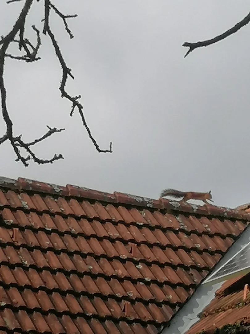 Kiadó családi ház Csesztreg Fő út 12 - Kép 14