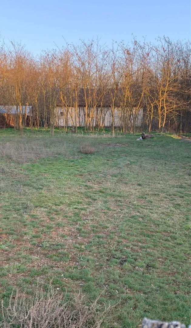 Eladó családi ház Csévharaszt Arany János útca - Kép 7