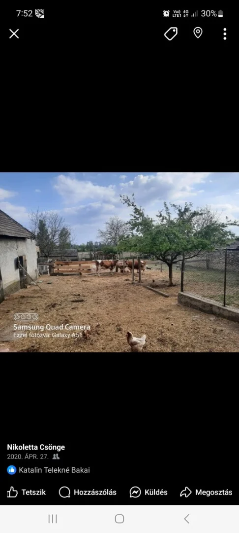 Eladó családi ház Bodorfa Szabadság utca - Kép 6