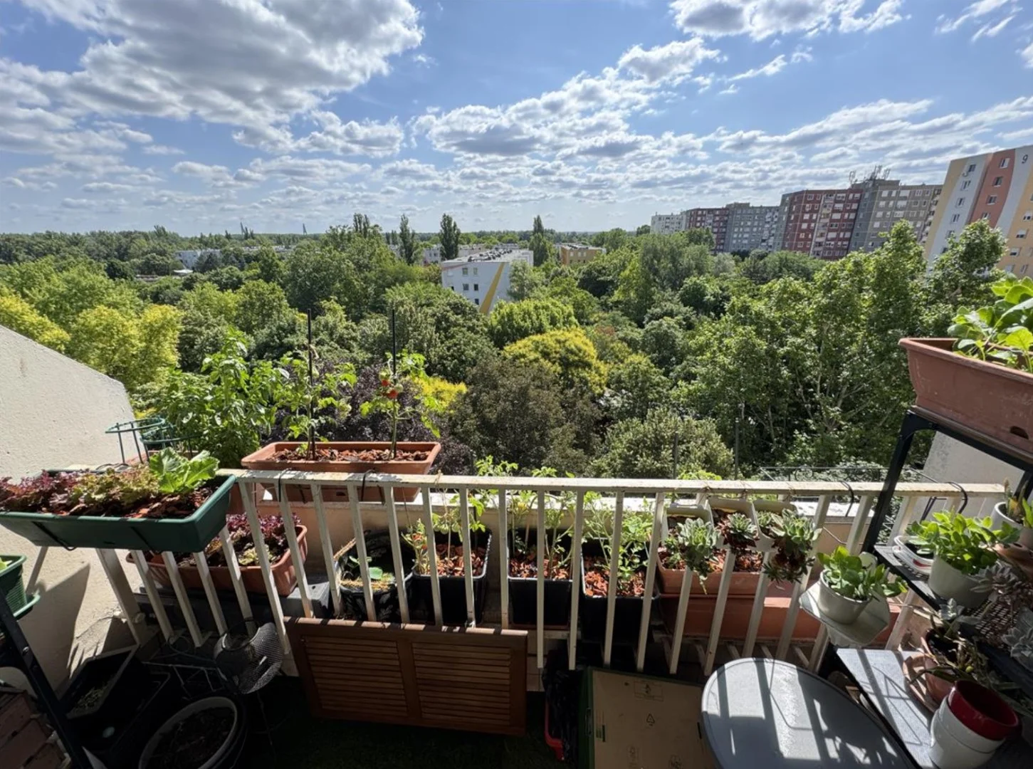 Eladó panel lakás Budapest 03. ker. Juhász Gyula utca - Kép 12