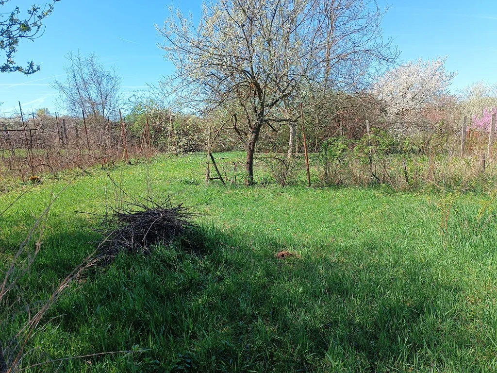 Eladó családi ház Perőcsény Hunyadi utca - Kép 11