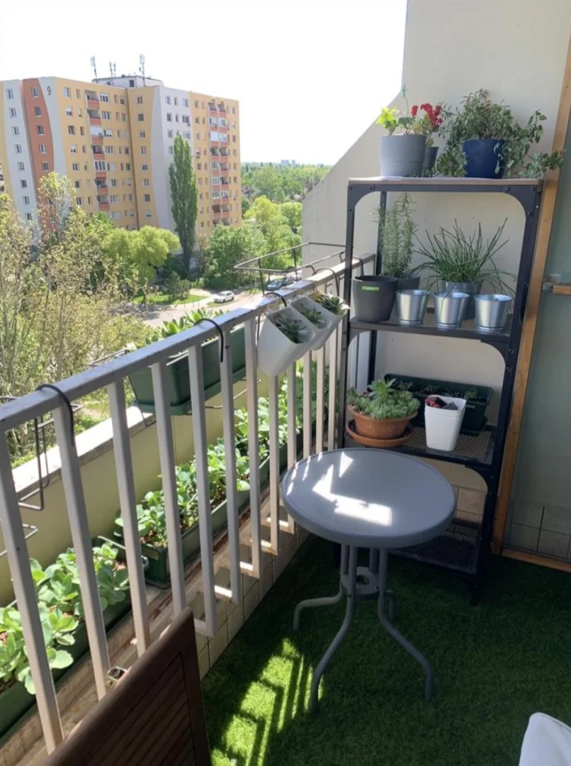 Eladó panel lakás Budapest 03. ker. Juhász Gyula utca - Kép 13