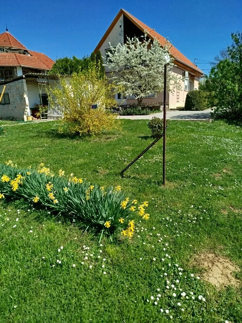 Eladó családi ház Siklós Vujicsics Tihamér - Kép 3