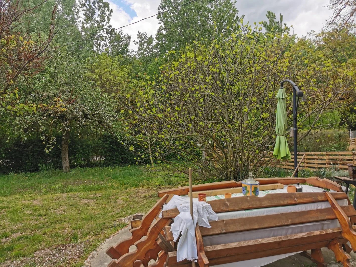 Eladó mezőgazdasági telek Kalocsa Meszesi Dunapart - Kép 6