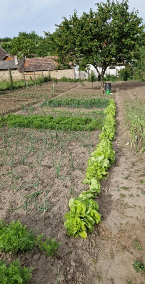 Eladó családi ház Tolnanémedi Széchenyi - Kép 4