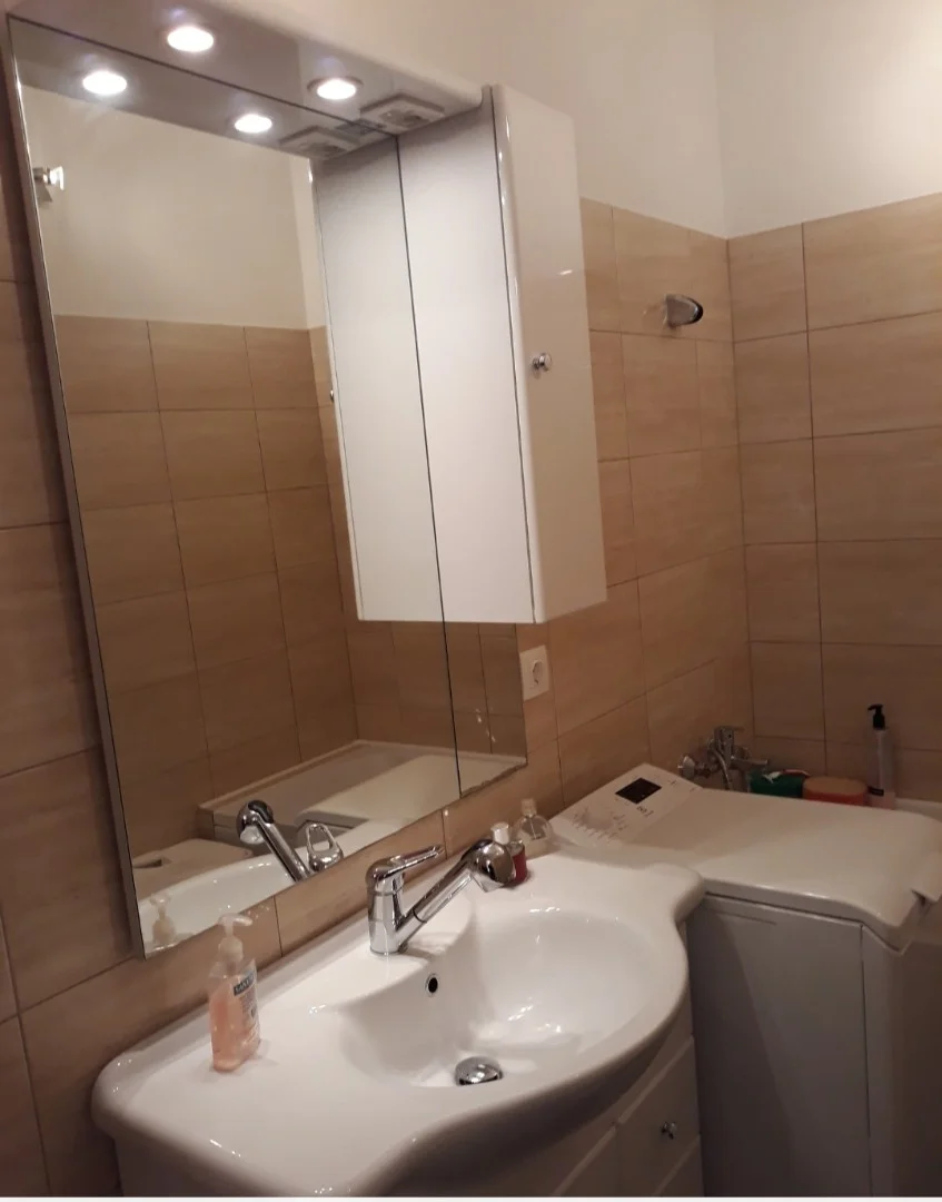 Kiadó tégla lakás Budapest 11. ker. Puskás Tivadar utca - Kép 5