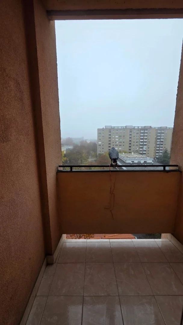 Eladó panel lakás Székesfehérvár Rákóczi - Kép 7