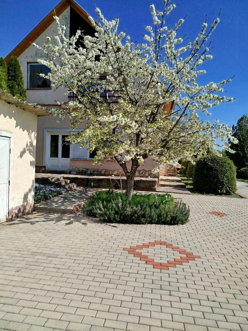 Eladó családi ház Siklós Vujicsics Tihamér - Kép 2