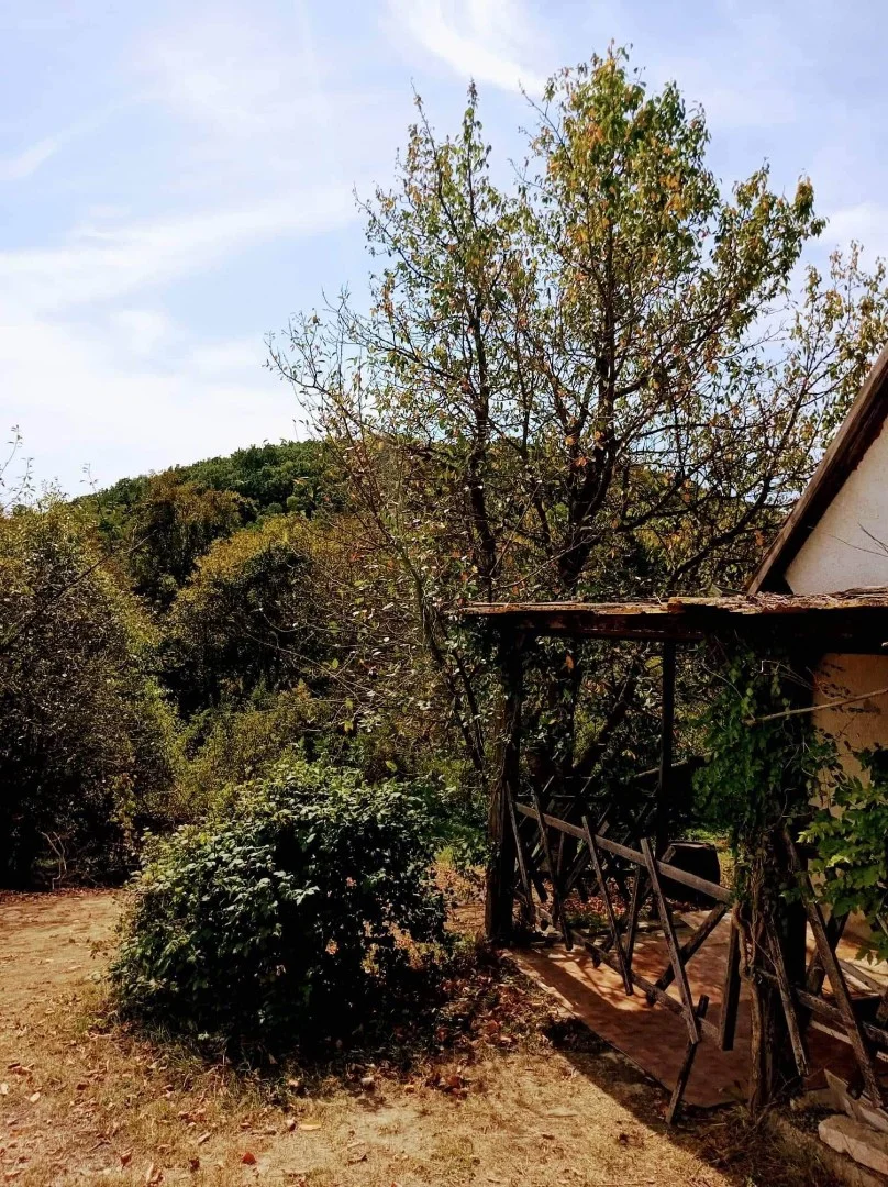 Eladó önálló nyaraló nyaraló / üdülő Ságvár - Kép 5