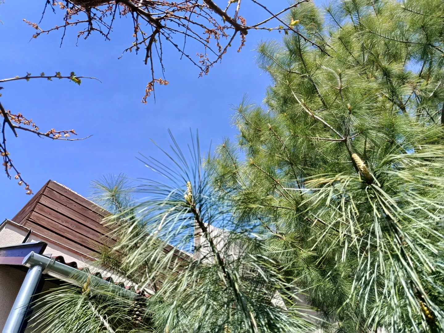 Eladó ikerház Szentendre Gólyahír utca - Kép 2