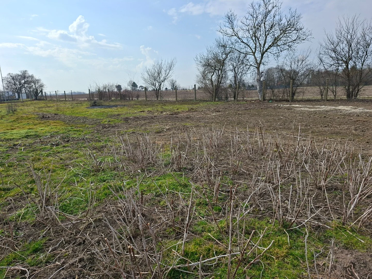 Eladó építési telek Bőny Béke utca - Kép 5