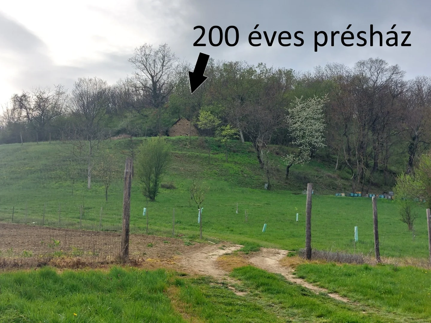 Eladó építési telek Orfű - Kép 2
