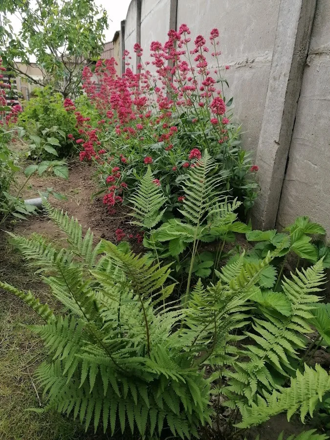 Eladó családi ház Péteri - Kép 12