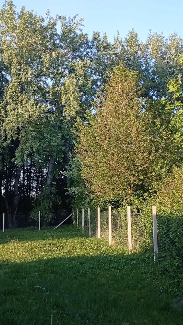 Eladó tégla lakás Győr - Kép 7