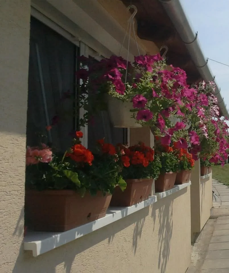 Eladó családi ház Siófok Szőlőhegy utca