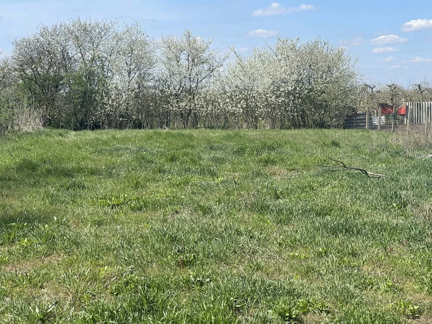 Eladó családi ház Apagy - Kép 7