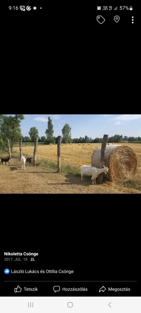 Eladó családi ház Bodorfa Szabadság utca - Kép 7