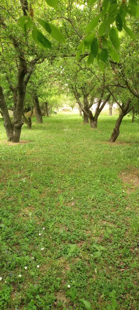 Eladó mezőgazdasági telek Kaposvár Zöldike - Kép 2