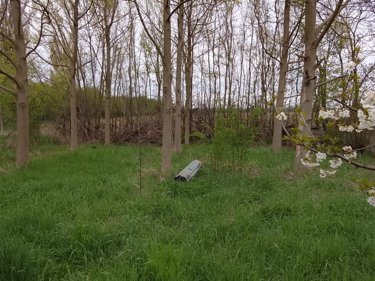 Eladó mezőgazdasági telek Vitnyéd Rábarèt utca - Kép 2