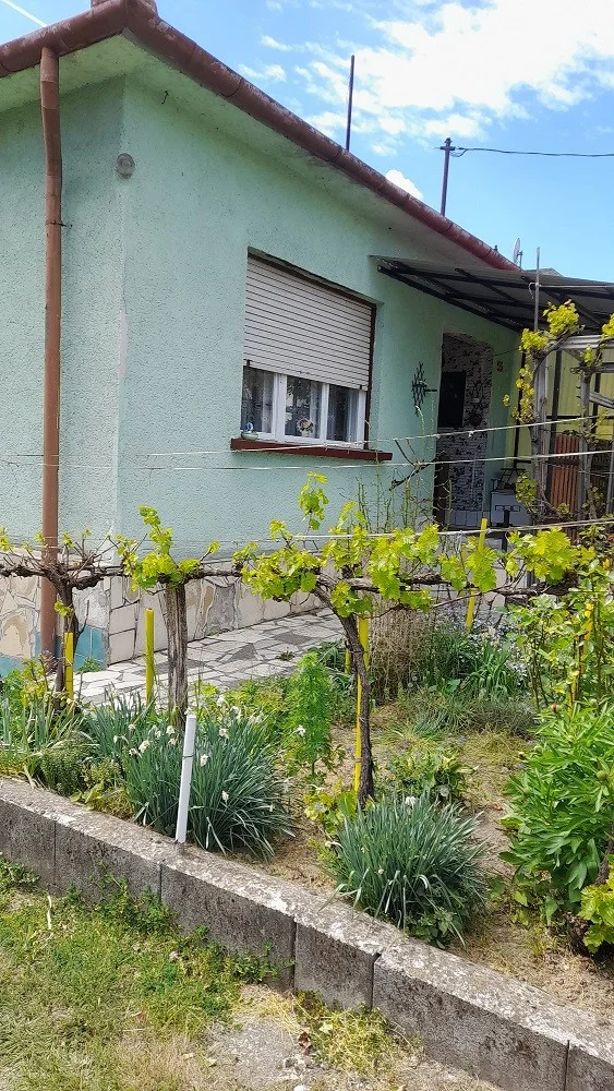 Eladó családi ház Zsámbék Terv utca - Kép 2