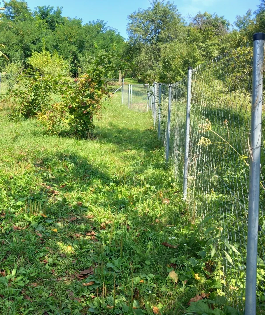 Eladó családi ház Miskolc Batthyány sor - Kép 16