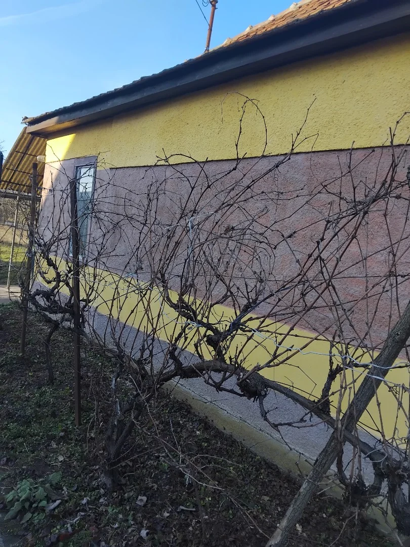 Eladó családi ház Aszaló Kassai út