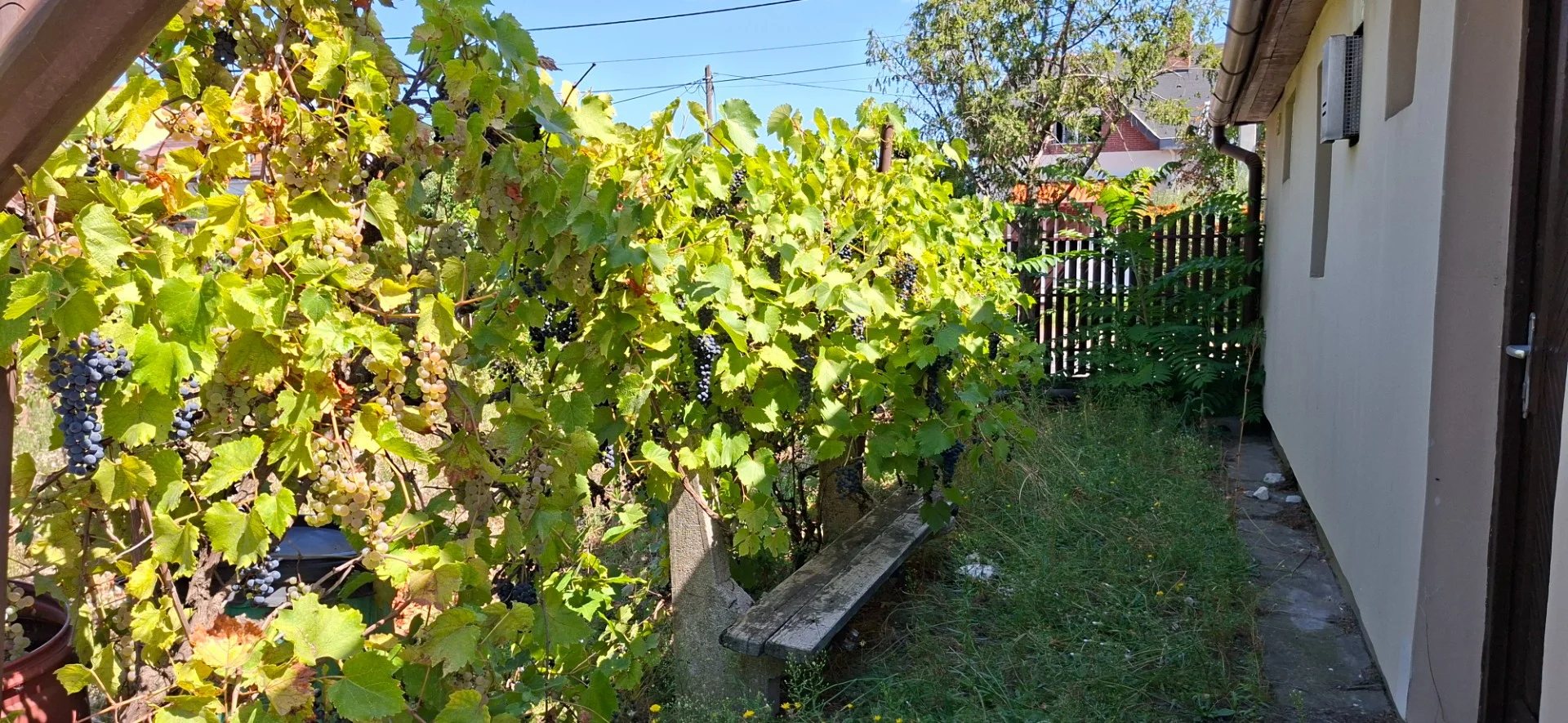 Eladó családi ház Debrecen Budai Nagy Antal - Kép 9