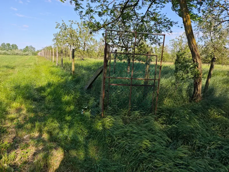 Eladó termőföld, szántó mezőgazdaság Gyula