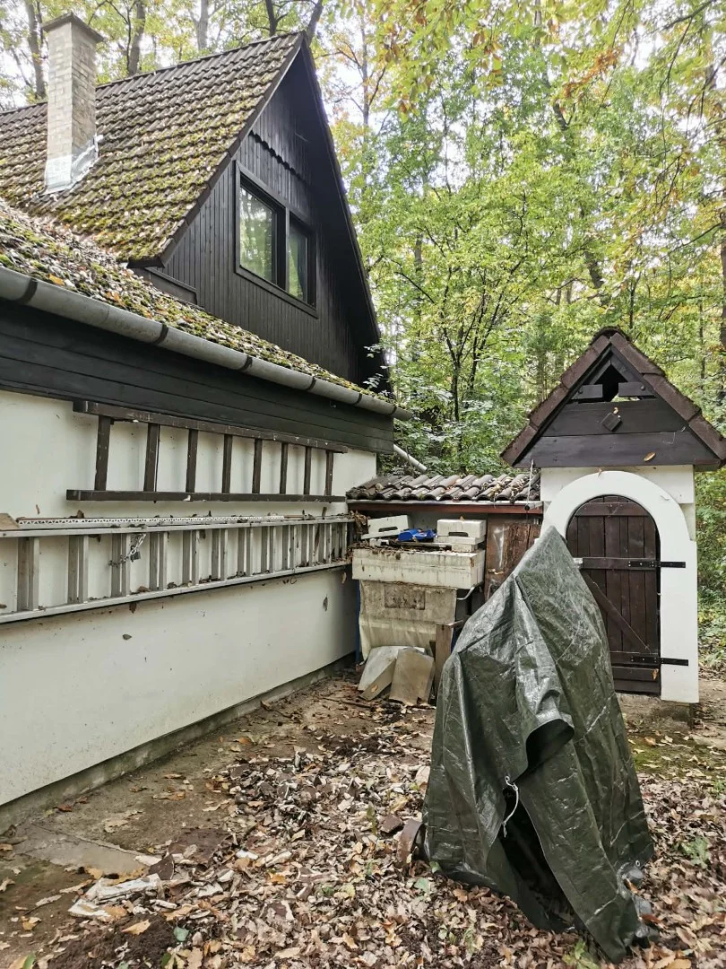 Eladó családi ház Kismaros Gálhegyi út - Kép 11