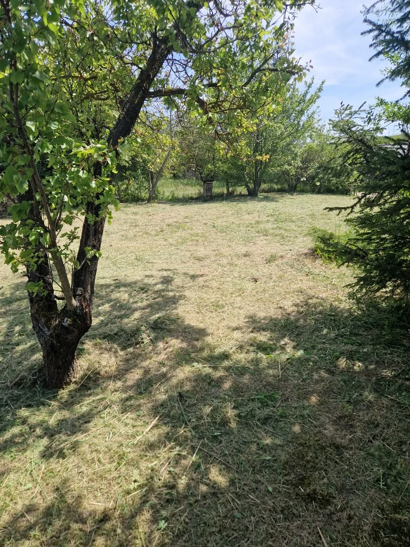 Eladó építési telek Óbarok Szőlő utca - Kép 4