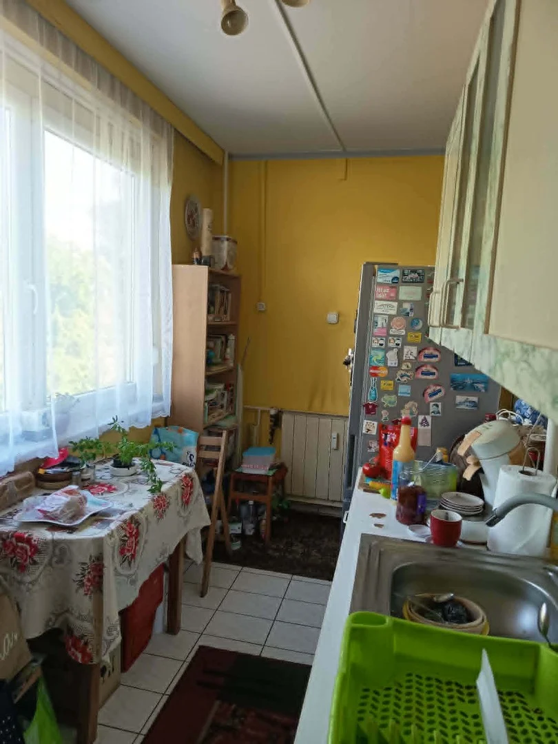 Eladó panel lakás Baja Kölcsey utca - Kép 7