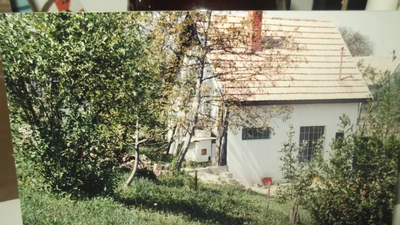 Eladó tanya mezőgazdaság Szekszárd Csomorikadülő