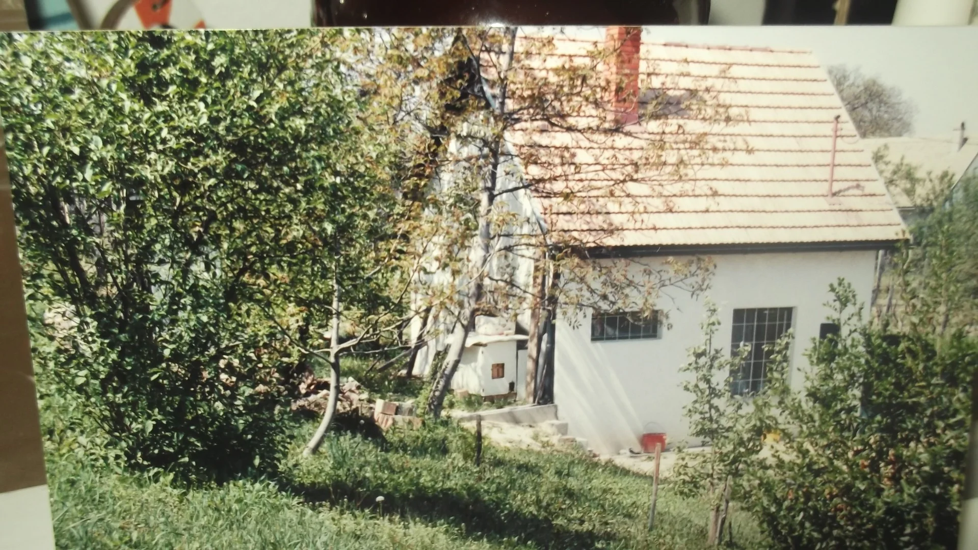 Eladó tanya mezőgazdaság Szekszárd Csomorikadülő