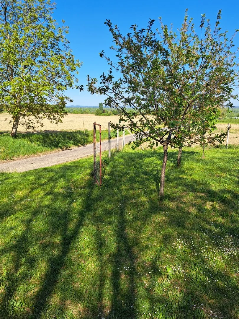 Eladó mezőgazdasági telek Garabonc - Kép 6