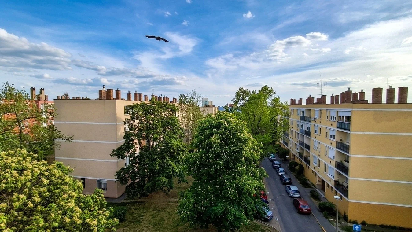 Eladó tégla lakás Gyöngyös Szövetkezet - Kép 9