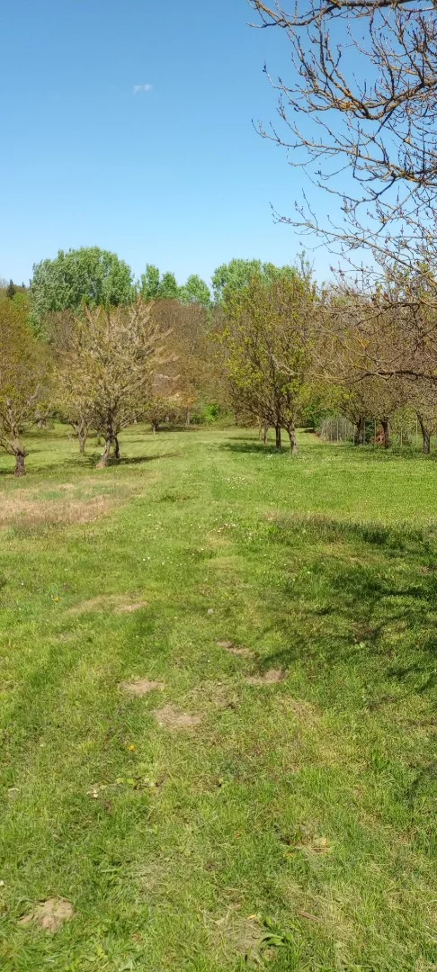 Eladó mezőgazdasági telek Kaposvár Zöldike - Kép 3
