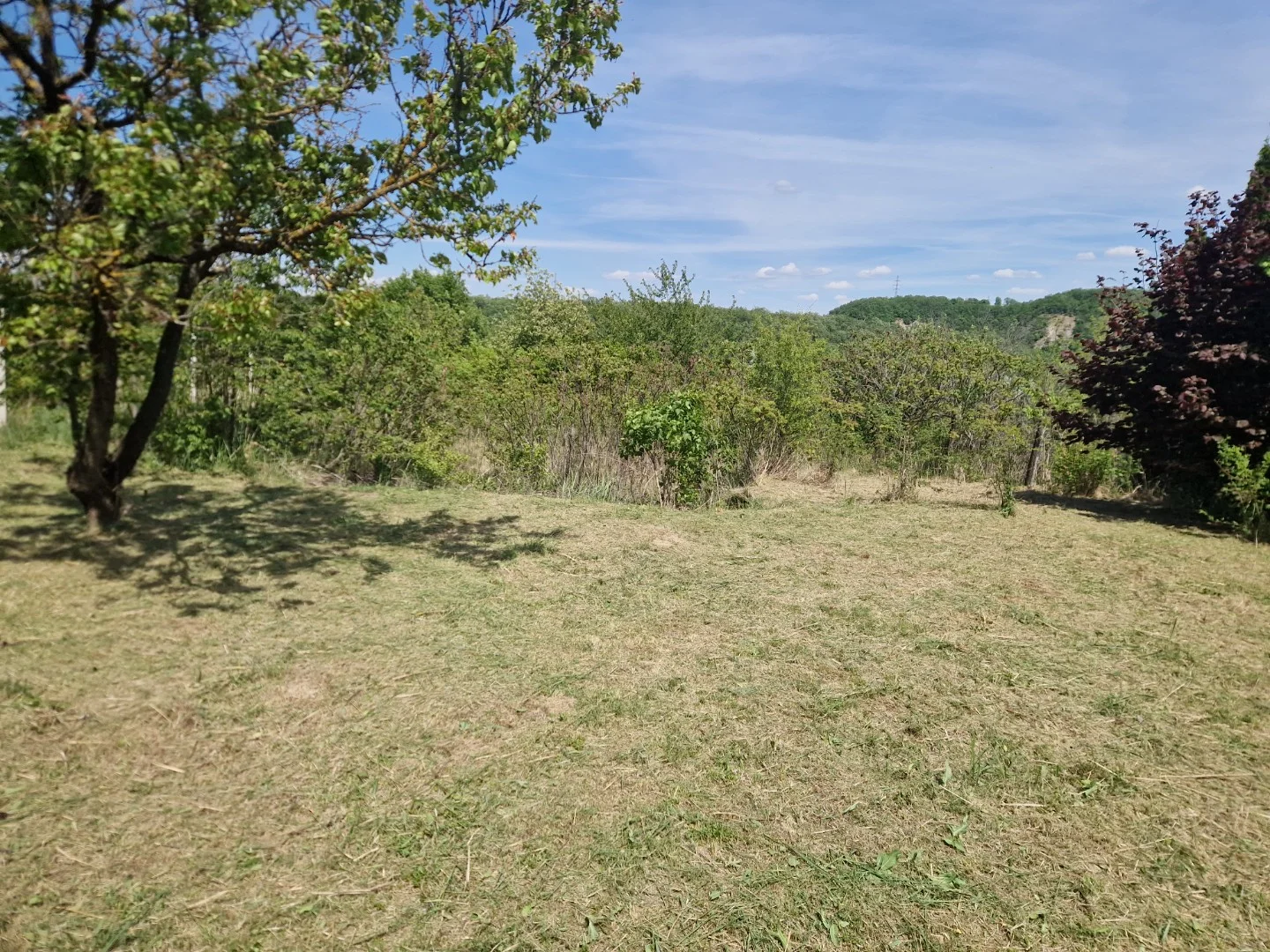 Eladó építési telek Óbarok Szőlő utca - Kép 5