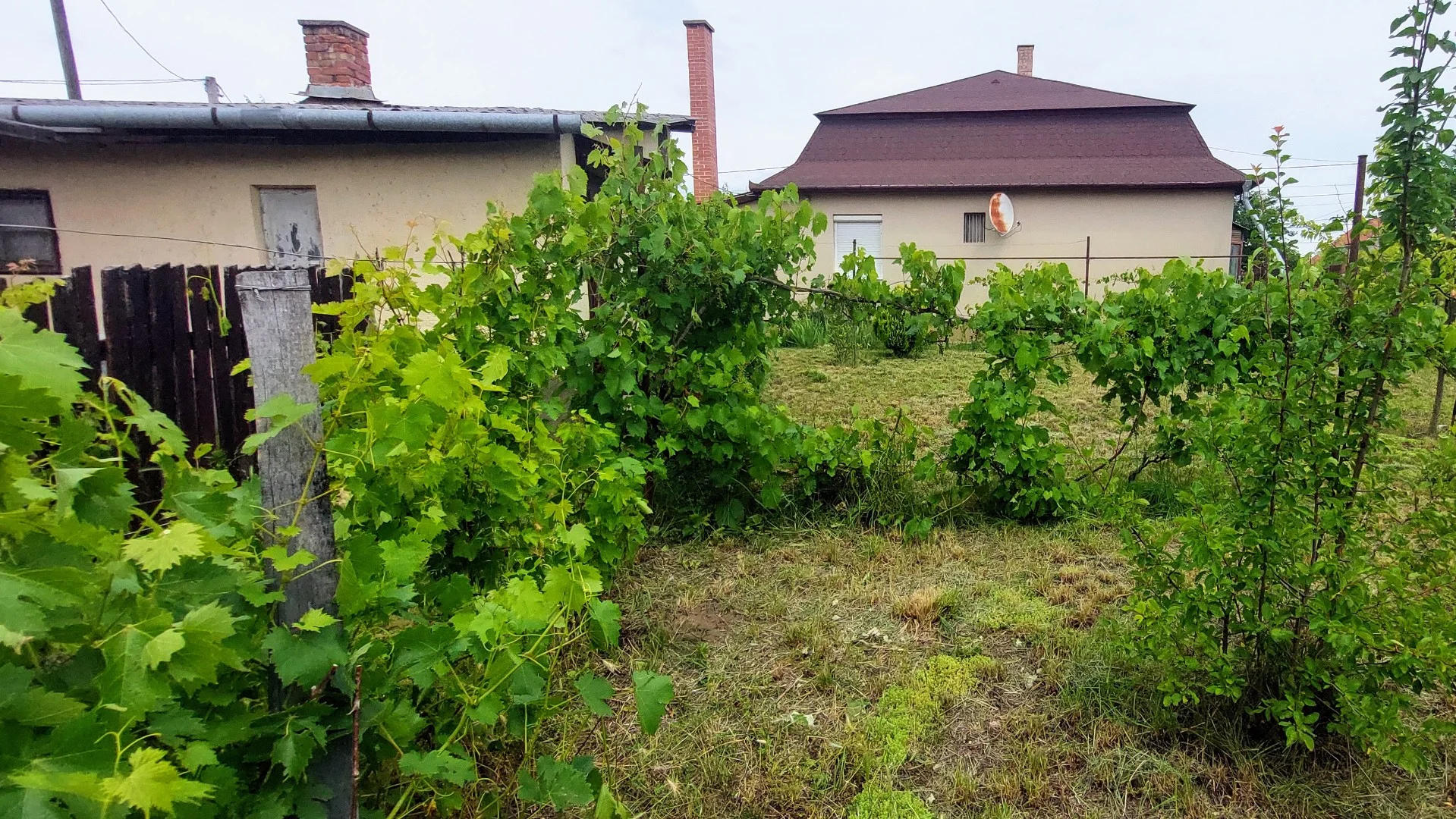 Eladó családi ház Debrecen Budai Nagy Antal - Kép 11