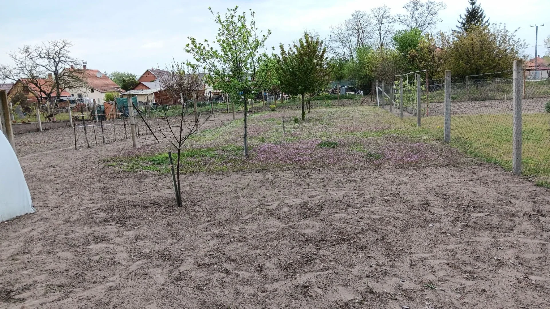 Eladó családi ház Sándorfalva Petőfi utca - Kép 9