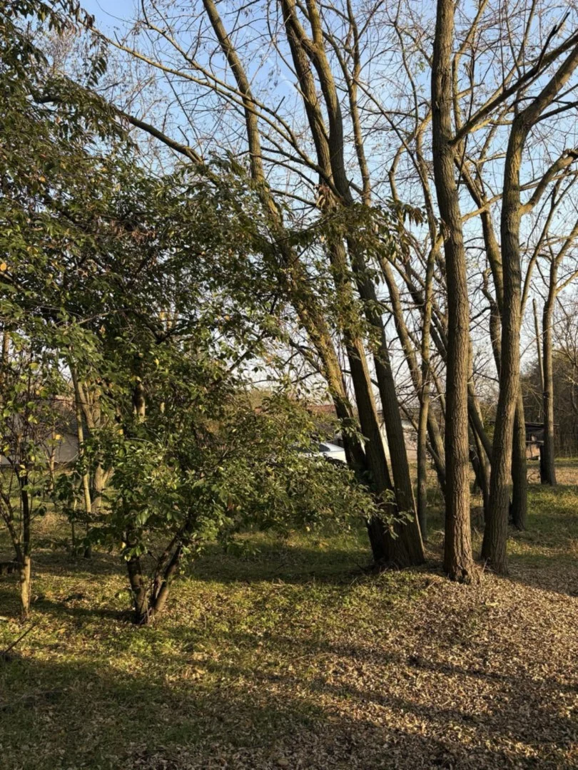 Eladó erdő mezőgazdaság Cegléd Ugyer - Kép 2